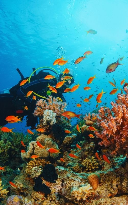 Andaman Tour Packages
